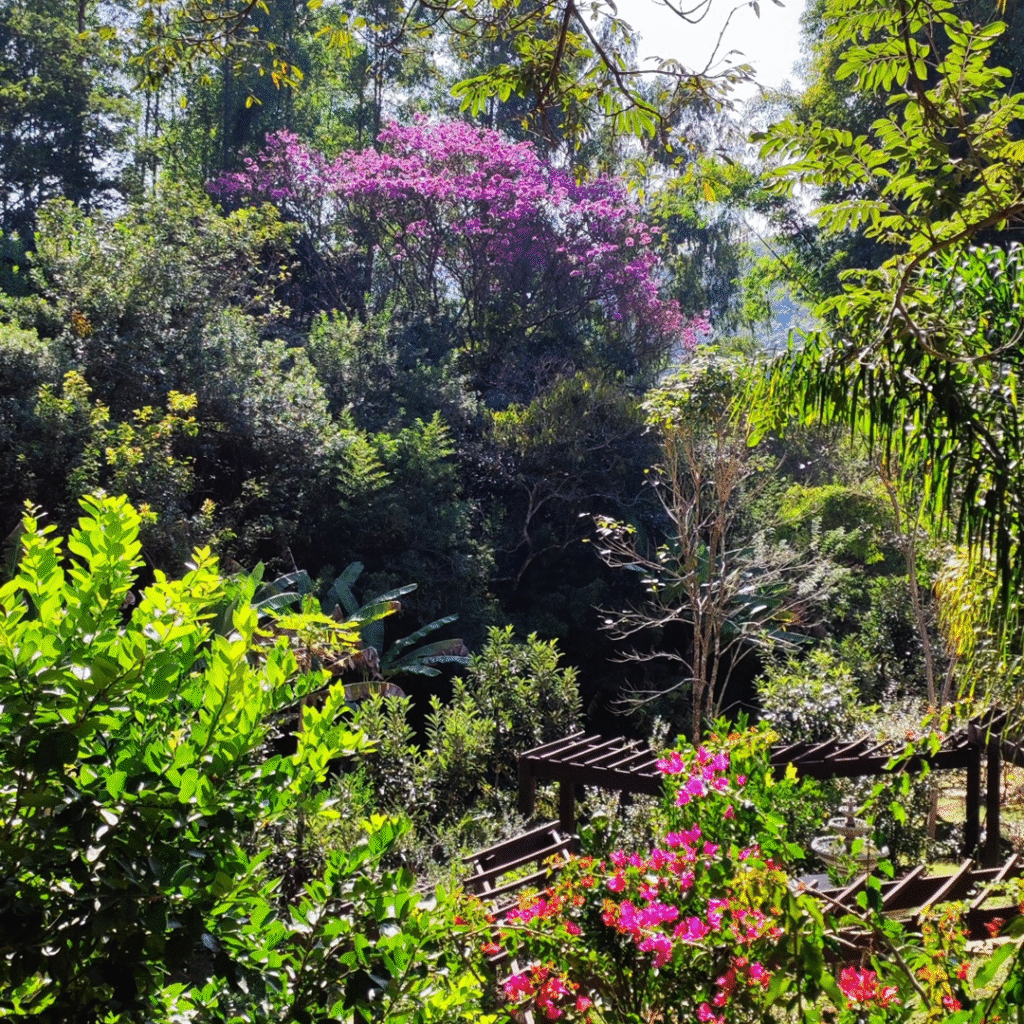 JARDIM-CAPA