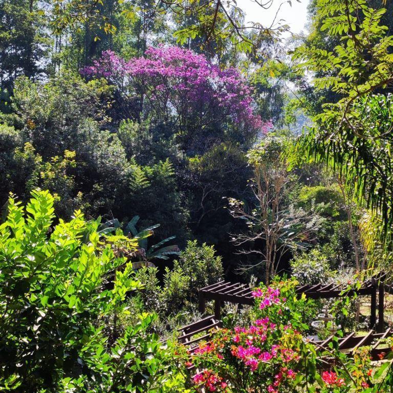 JARDIM-CAPA