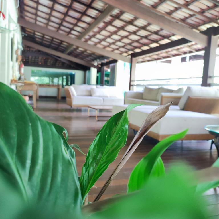 LOUNGE-CAPA
