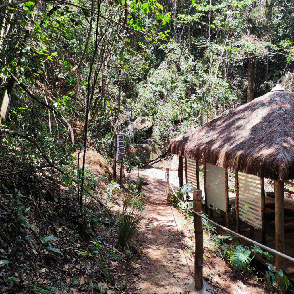 TEMPLO-DA-MEDITACAO-CAPA-1