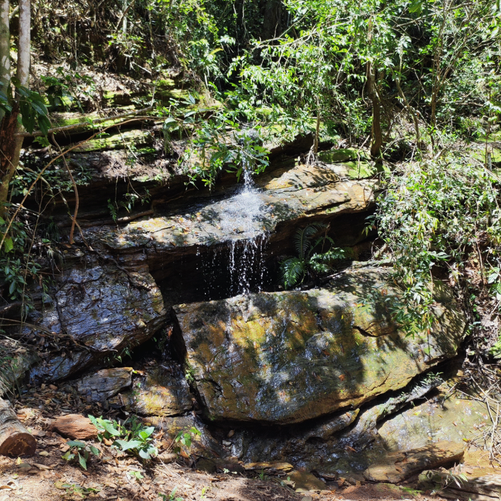 TRILHA-DAS-TRES-PEDRAS-2