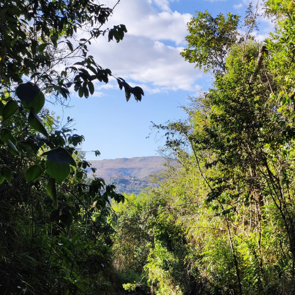 TRILHA-TOPO-DO-MUNDO-2